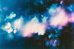 Abstract Floral Backgrounds Product Image 5