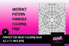 Abstract Pattern Mandala Coloring Page 3 Product Image 1