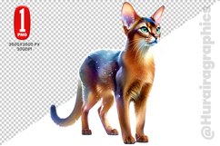 Abyssinian Cat Clipart - PNG File Product Image 1