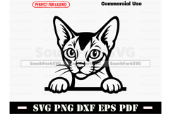Peeking Abyssinian Cat Design SVG PNG DXF EPS PDF Product Image 1