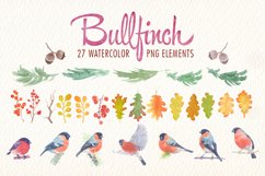 Watercolor bullfinch bird clipart Product Image 3