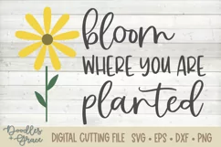 Bloom Where You Are Planted SVG - EPS - DXF - PNG Product Image 2