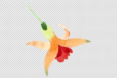 Orange Fuchsia Watercolor png Product Image 12