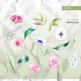 Wedding Watercolor Flowers Clipart, Helleborus Flowers Product Image 3