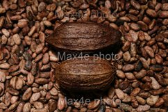 Artisan bio chocolate making, coca fruits and beans, Product Image 1