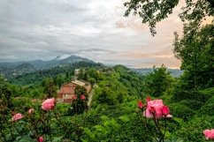 Highland tea plantations by the sea Product Image 1