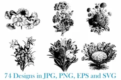 74 Woodcut Vintage Floral and Garden Illustration Collection Product Image 9