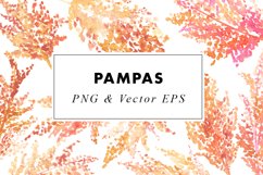 Watercolor Pampas | Botanical Illustration in PNG & EPS Product Image 1