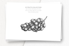 Hand drawn Fruit Collection Product Image 3