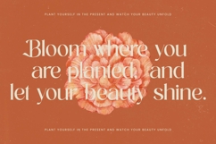 Achieve Fabrics - Bold Tall Serif Font Product Image 9