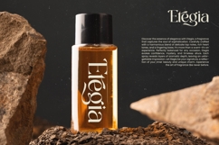 Achieve Fabrics - Bold Tall Serif Font Product Image 11