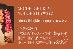 Achieve Fabrics - Bold Tall Serif Font Product Image 18