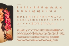 Achieve Fabrics - Bold Tall Serif Font Product Image 19