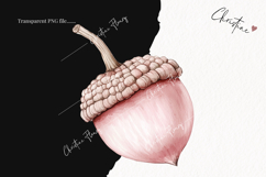 Watercolor Pink Acorns | Camping PNG Product Image 2
