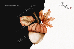 Cozy Fall Acorn PNG Product Image 2
