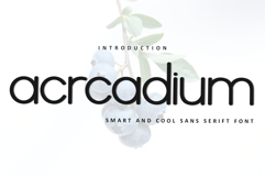 Acrcadium Product Image 1