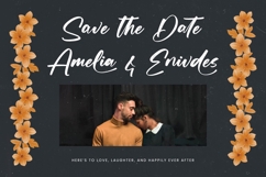 Actively - Modern Brush Font Product Image 6