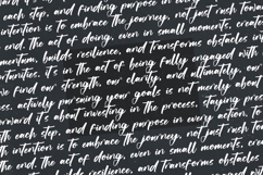 Actively - Modern Brush Font Product Image 12