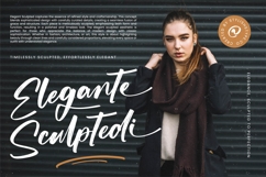 Actively - Modern Brush Font Product Image 13