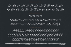 Actively - Modern Brush Font Product Image 18