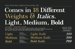 Actualis - Serif Font Family Product Image 2