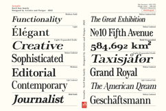 Actualis - Serif Font Family Product Image 3