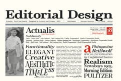 Actualis - Serif Font Family Product Image 6