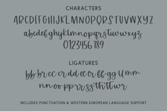 Actually Maybe Script Product Image 10