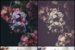 55 Vintage Flowers Lightroom Presets Product Image 4
