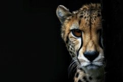 Cheetah on a Black Background Wallpaper Product Image 1