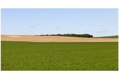 natural green grass Product Image 1
