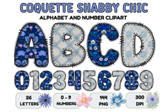 Coquette Shabby Chic Alphabet PNG Letters &amp; Numbers 300DPI Product Image 1