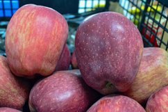 Red apples in in the shop Product Image 1