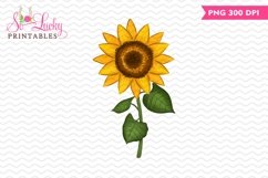 Sunflower painted printable sublimation design Product Image 1
