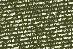 Adeline Mahila - Groovy Serif Display Font Product Image 17