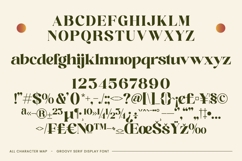 Adeline Mahila - Groovy Serif Display Font Product Image 18