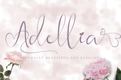 Beautiful Special Bundle Product Image 2