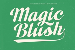 Adjust Ranch - Modern Script Bold Logotype Product Image 7