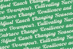 Adjust Ranch - Modern Script Bold Logotype Product Image 12