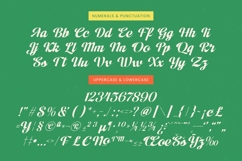 Adjust Ranch - Modern Script Bold Logotype Product Image 18