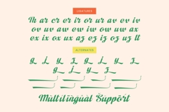 Adjust Ranch - Modern Script Bold Logotype Product Image 19