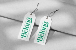 Adjust Smile - Bold Tall Serif Display Font Product Image 10