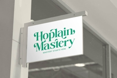 Adjust Smile - Bold Tall Serif Display Font Product Image 11