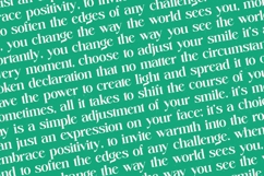 Adjust Smile - Bold Tall Serif Display Font Product Image 12
