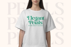 Adjust Smile - Bold Tall Serif Display Font Product Image 15