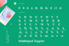 Adjust Smile - Bold Tall Serif Display Font Product Image 19