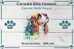 Adorable Cavalier King Charles Color Drip - Sublimation Product Image 1