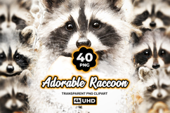 Adorable Raccoon Clipart Bundle 40 PNG Product Image 1