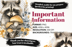 Adorable Raccoon Clipart Bundle 40 PNG Product Image 6