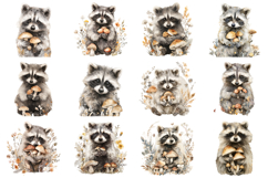 Adorable Raccoon Clipart Bundle 40 PNG Product Image 2